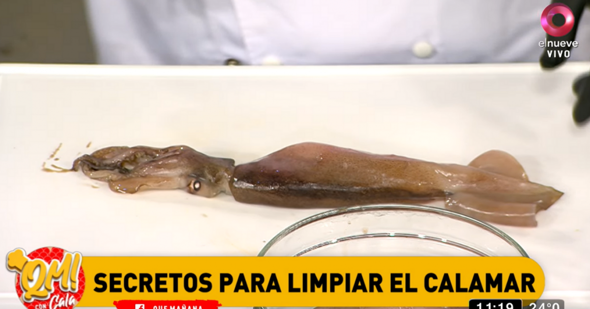 Secretos para limpiar el calamar Canal 9